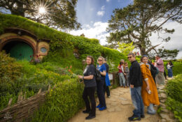 New Zealand 2025 (1 group) (24/66)